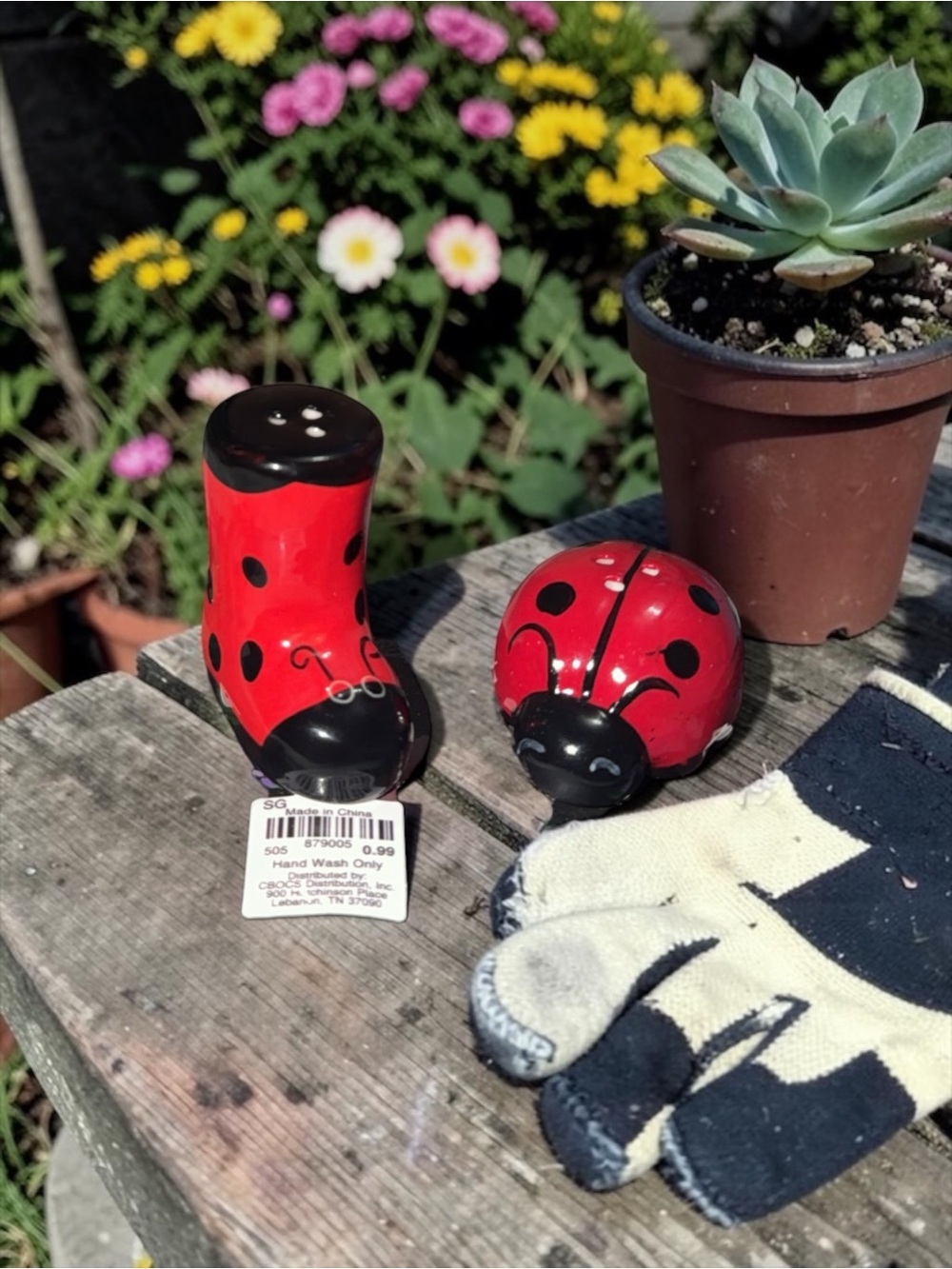 Red Ladybug Ceramic Salt and Pepper Shakers - Decorative Food Storage